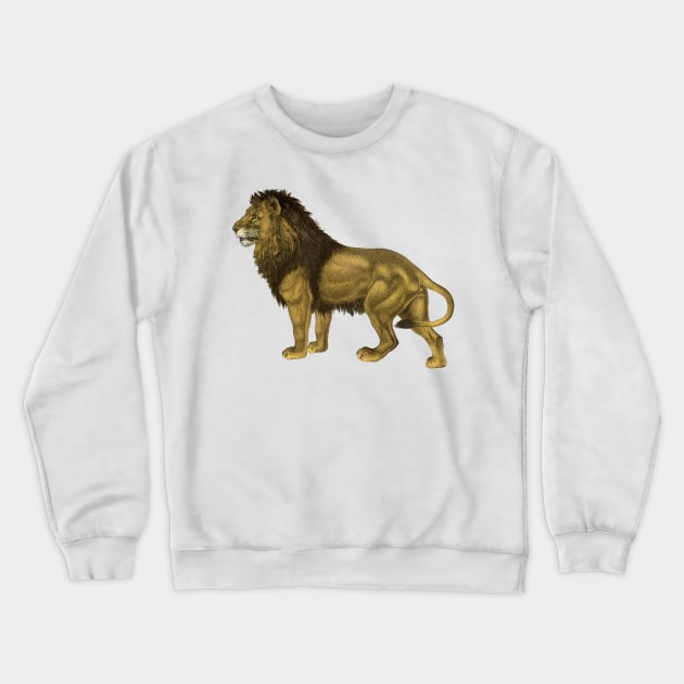 Impressive Male Safari Lion Crewneck Sweatshirt by RedThorThreads